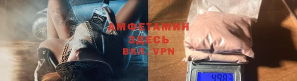 меф Ельня
