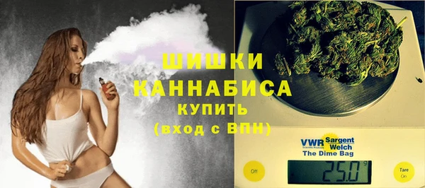 меф Ельня