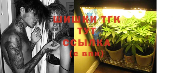 меф Ельня