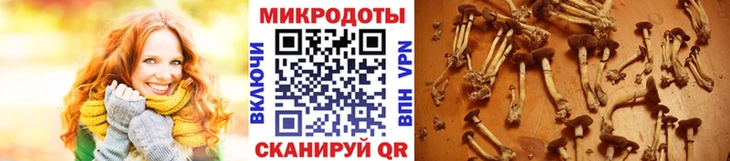 Купить закладки  Красноуральск  Псилоцибиновые грибы прущие грибы 